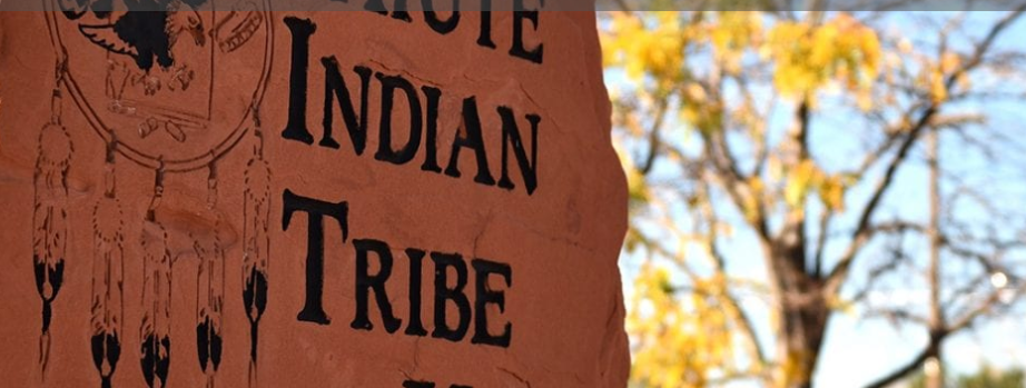 Cedar City Nonprofits: Donating to the Paiute Indian Tribe of Utah