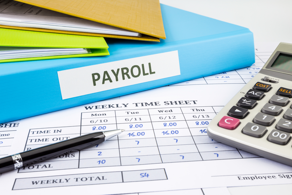 Professional Payroll and Accounting Services